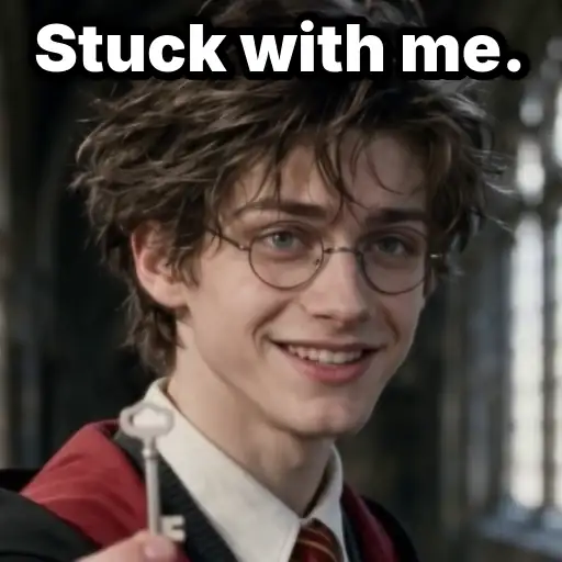 Stuck With Me. card: All term. Sorry, not sorry.